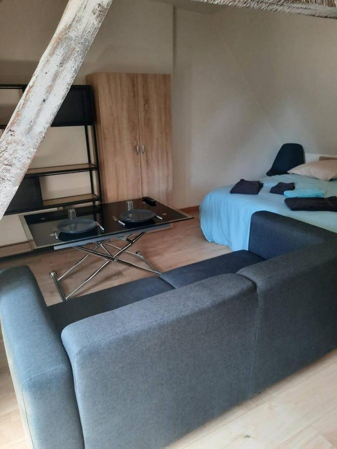 La Marmotte De La Cathedrale - Calme - Jardin Apartman Troyes Kültér fotó