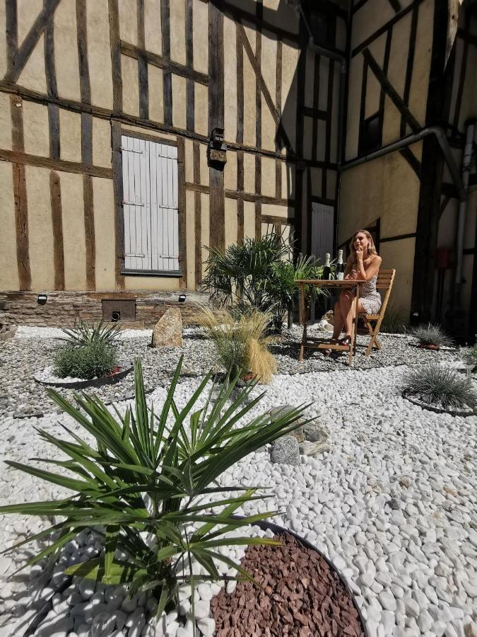 La Marmotte De La Cathedrale - Calme - Jardin Apartman Troyes Kültér fotó