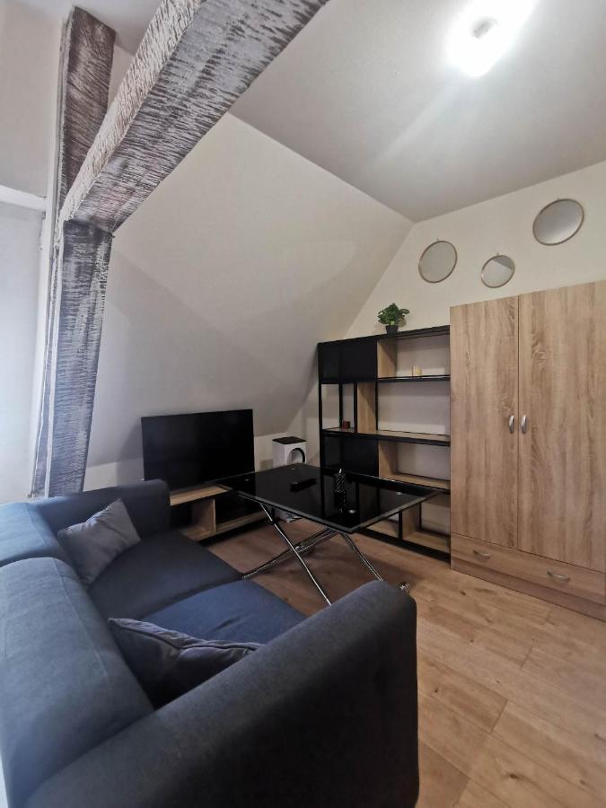 La Marmotte De La Cathedrale - Calme - Jardin Apartman Troyes Kültér fotó